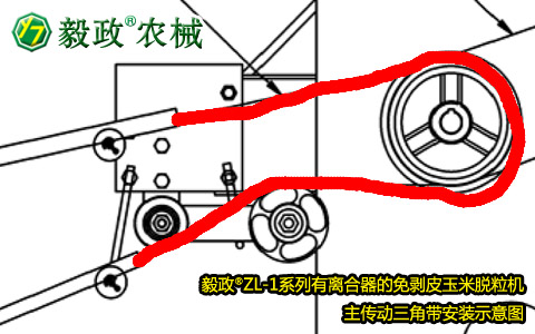 毅政牌ZL1系列有離合器的免剝皮玉米脫粒機，主傳動三角帶正確安裝